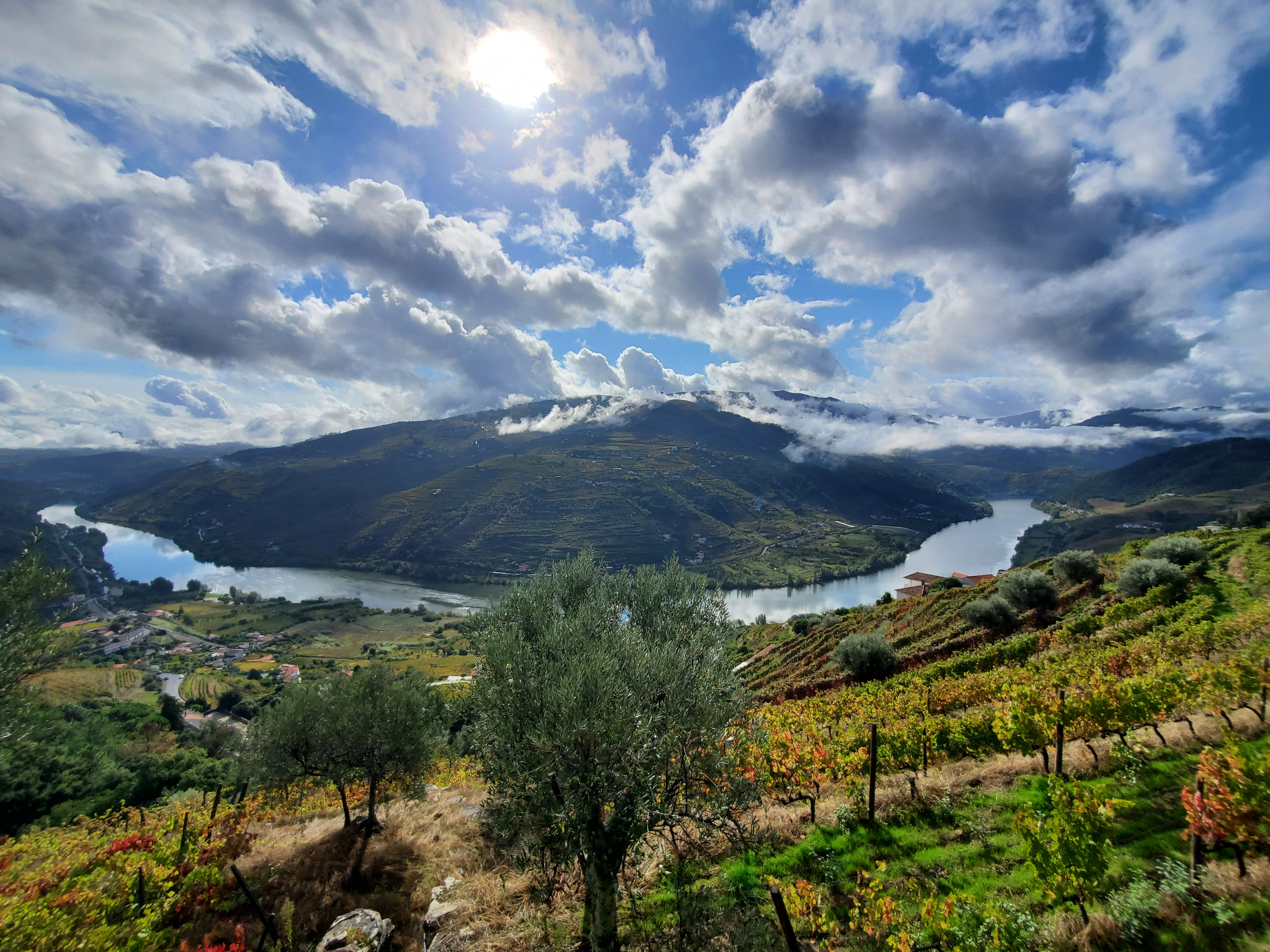 Douro Valley Full-Day Private Experience with Wine Certified Expert